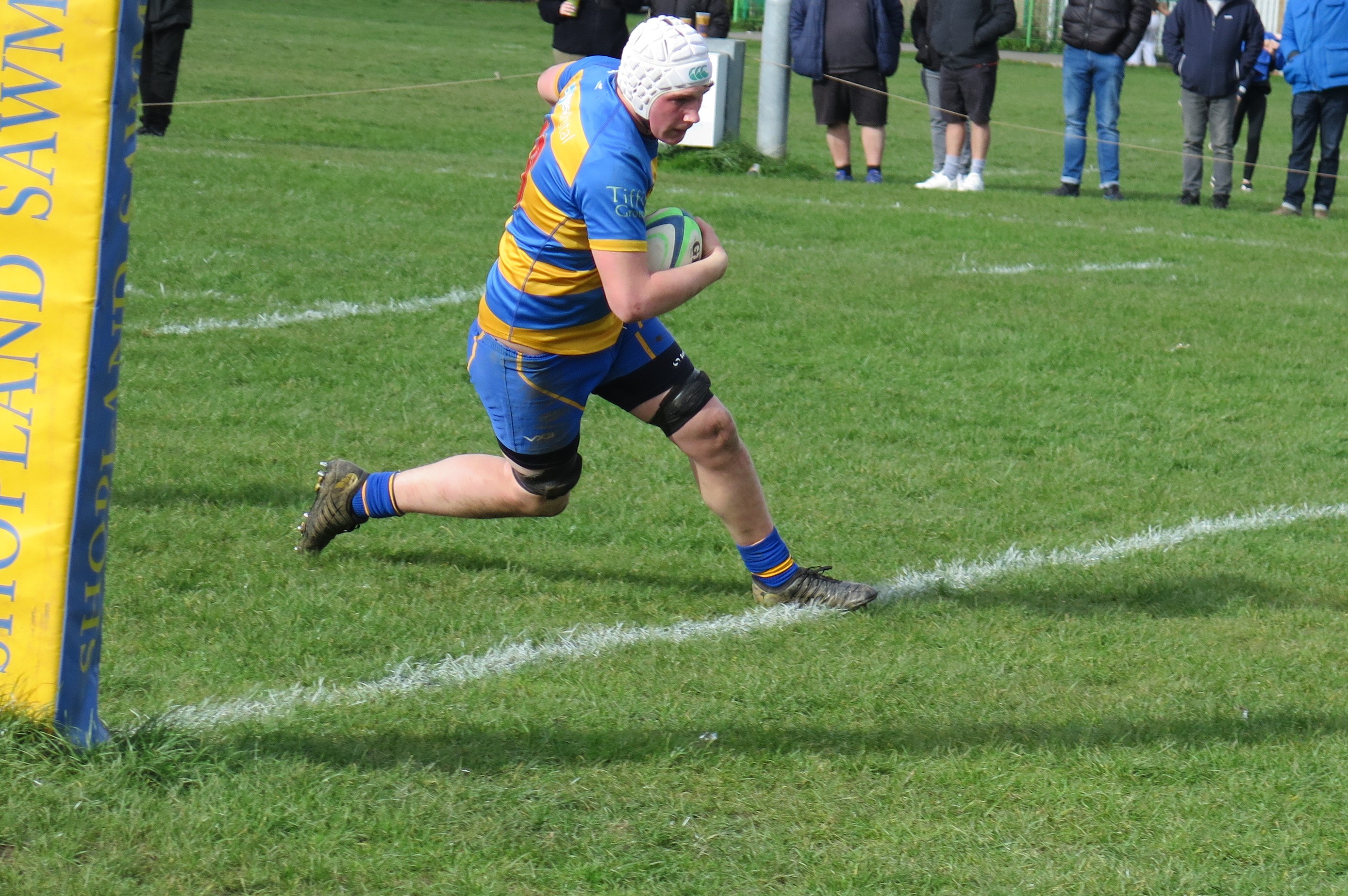 Colt Tom Dommett scores  on his debu