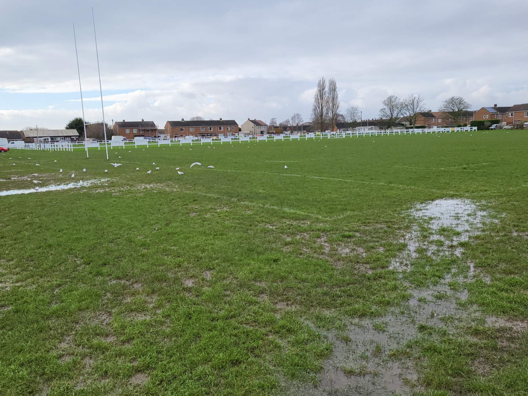 Swamp conditions at The Vale...